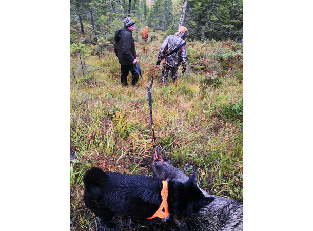 NeverLost Game sling Game sling in rugged nylon 